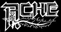 Ache logo, 1976