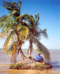 Desert Island